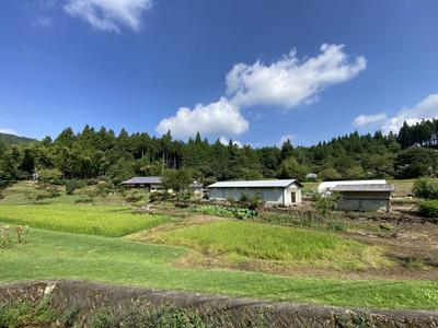 Traditional Farmhouse with 1.8 Hectares Near Lake Hana, Nakatsugawa — Image 4, Nakatsugawa, Gifu