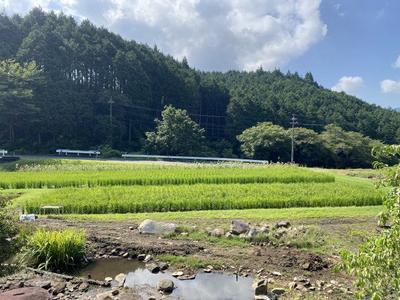 Traditional Farmhouse with 1.8 Hectares Near Lake Hana, Nakatsugawa — Image 3, Nakatsugawa, Gifu