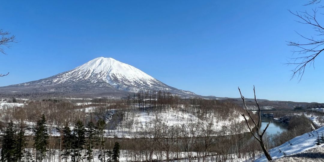 Niseko Yamada Villa Land - 5,046 sqm Development Site with Mount Yotei Views - Thumbnail 4