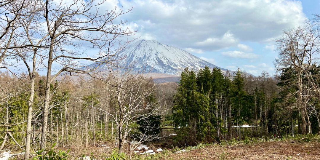 Niseko Yamada Villa Land - 5,046 sqm Development Site with Mount Yotei Views - Thumbnail 2