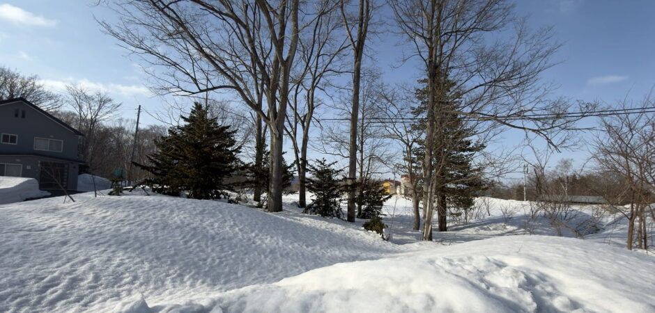 14,900.45 m² Land with Mt. Yotei Views in Outer Hirafu, Niseko - Thumbnail 3