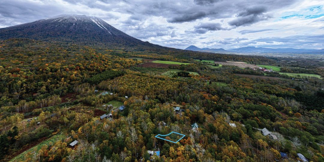 305 Tsubo Forest Land for Sale in Niseko's Kondo Area - Thumbnail 2