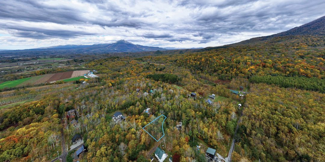 305 Tsubo Forest Land for Sale in Niseko's Kondo Area - Image 1