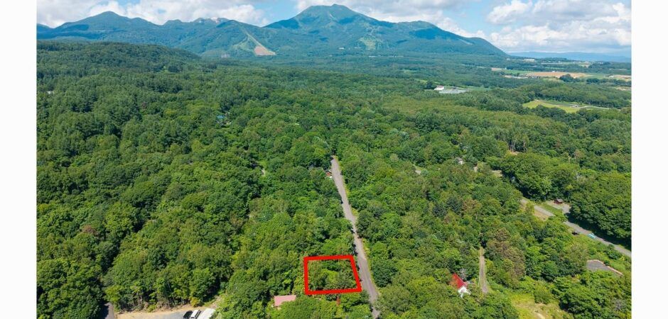 728 Sqm Land for Sale in Yunosato, Rankoshi, Niseko - Thumbnail 3