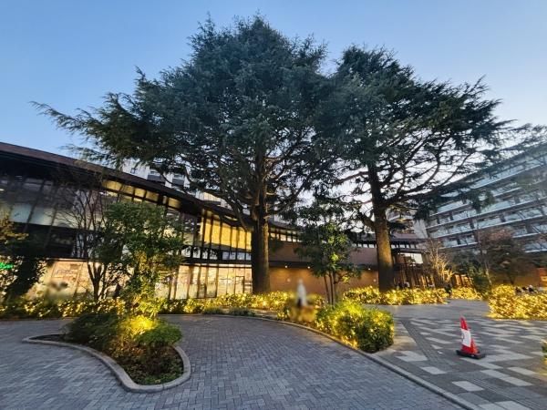 3LDK Apartment for Sale in Mitaka, Tokyo - 70.66m2 - Thumbnail 2