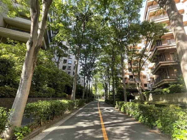 1LDK Renovated Apartment in Hiroo, Shibuya, Tokyo - Thumbnail 3