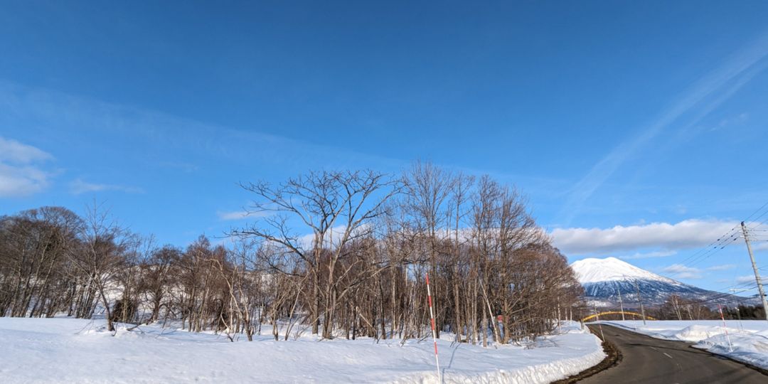 1.2 Hectare Land with Mount Yotei Views in Niseko Town - Thumbnail 4