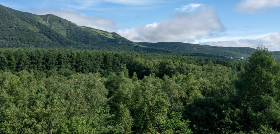 5,950sqm Land for Sale in Kabayama, Niseko with Panoramic Views - Thumbnail 2