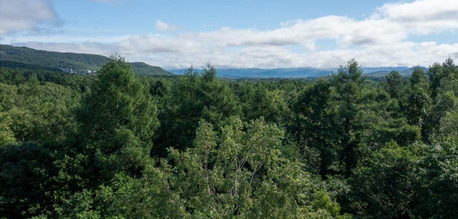 5,950sqm Land for Sale in Kabayama, Niseko with Panoramic Views - Thumbnail 3
