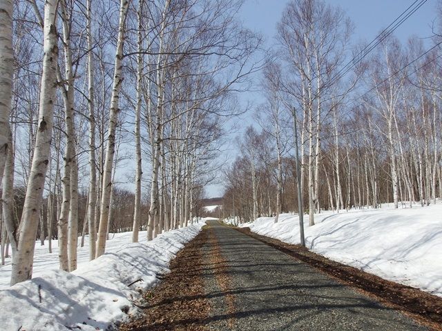 27,096 Tsubo Land for Sale in Niseko Area, Rankoshi, Hokkaido - Thumbnail 4