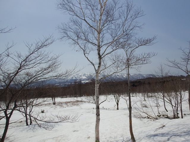 27,096 Tsubo Land for Sale in Niseko Area, Rankoshi, Hokkaido - Thumbnail 3