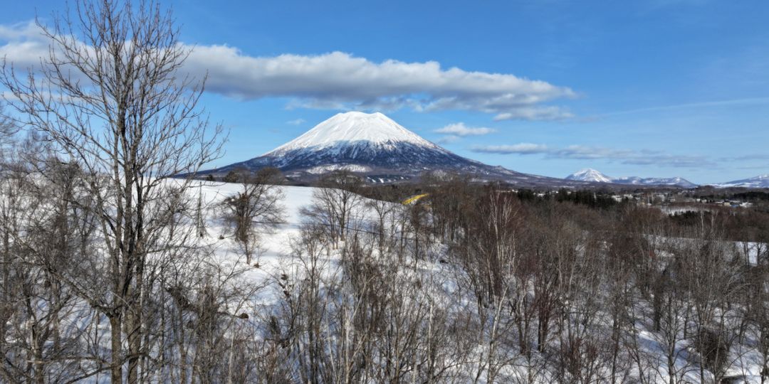 1.2 Hectare Farmview Land for Sale in Niseko Town, Hokkaido - Thumbnail 2
