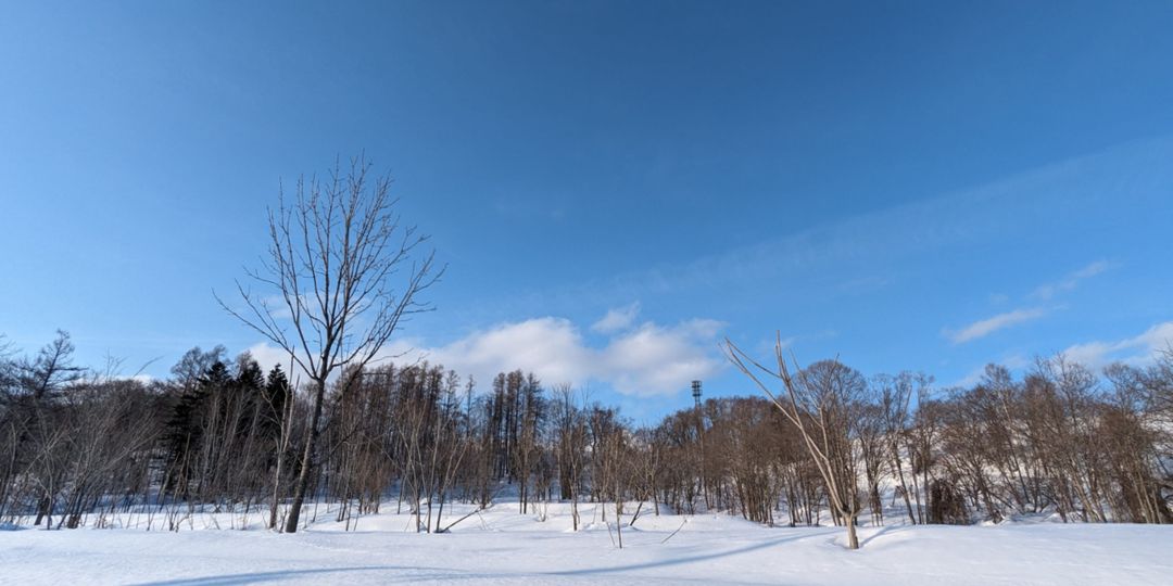 1.2 Hectare Farmview Land for Sale in Niseko Town, Hokkaido - Thumbnail 4