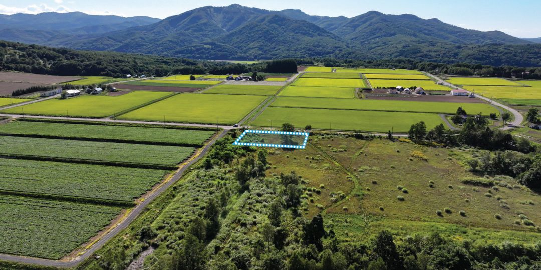 Niseko Land for Sale with Mount Yotei Views - 709 Tsubo - Thumbnail 4