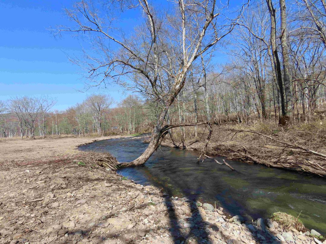 14,621 Tsubo Land for Sale in Rankoshi, Hokkaido - Campground Site - Thumbnail 2