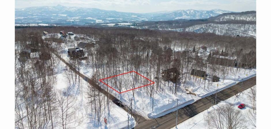 1003sqm Land for Sale in Moiwa, Niseko - Thumbnail 3