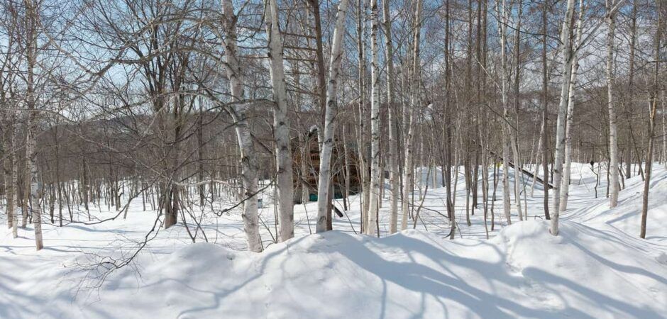 1003sqm Land for Sale in Moiwa, Niseko - Image 1