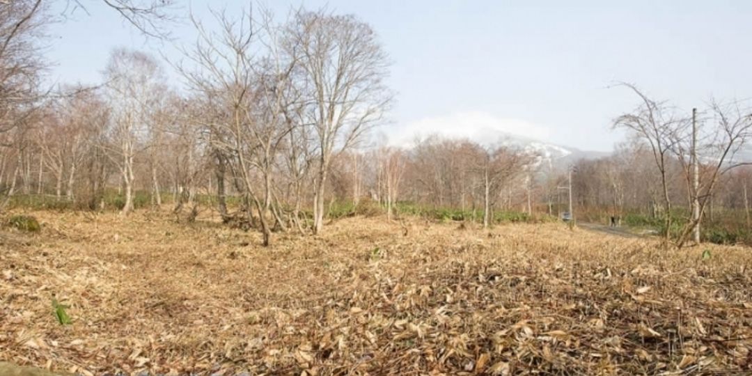 Niseko 430-4,6,7,16 Land for Sale in Annupuri - Thumbnail 3
