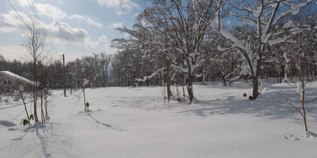 Niseko 430-4,6,7,16 Land for Sale in Annupuri - Thumbnail 2