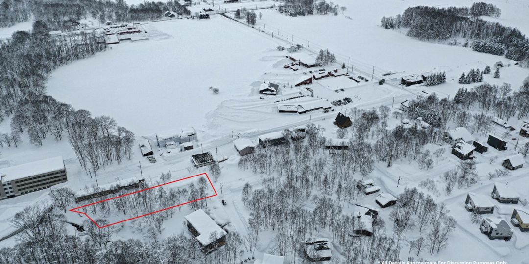 910 Tsubo Land for Sale in Niseko Village Higashiyama - Thumbnail 4