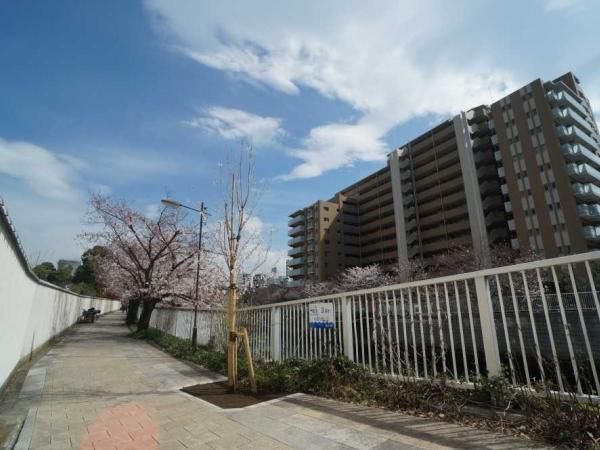 Renovated 3LDK Apartment for Sale in Shinagawa, Tokyo - Thumbnail 4