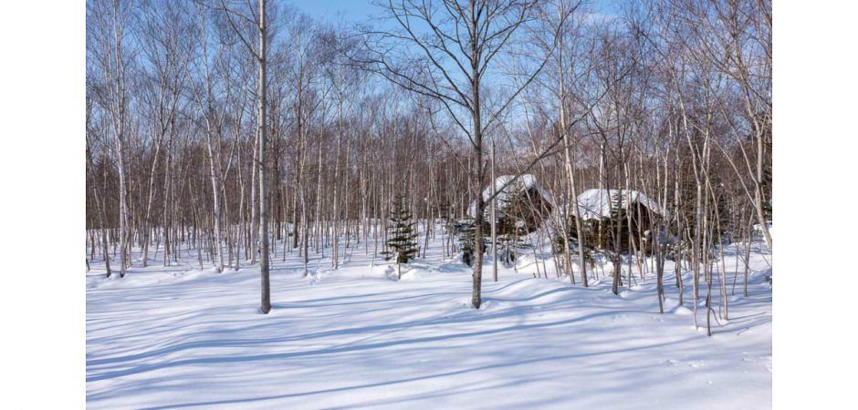 662sqm Residential Land in Kondo, Niseko Town - Thumbnail 2