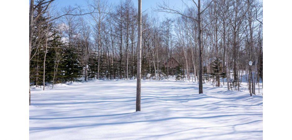 662sqm Residential Land in Kondo, Niseko Town - Thumbnail 3