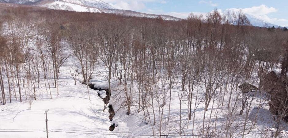 1073 Sqm Land for Sale in Moiwa, Niseko - Thumbnail 2