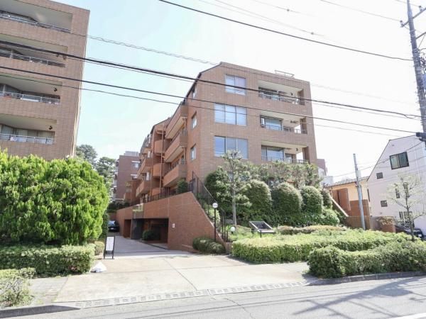 Renovated 3LDK Apartment in Setagaya with Terrace - Thumbnail 4