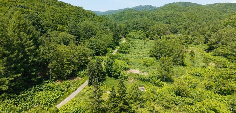 29,214 m² off-grid land for sale in Kutchan, Hokkaido - Thumbnail 4