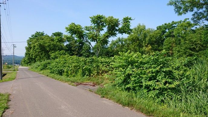 Land for Sale in Rankoshi with Niseko Mountain Views | 1458 sqm - Thumbnail 3