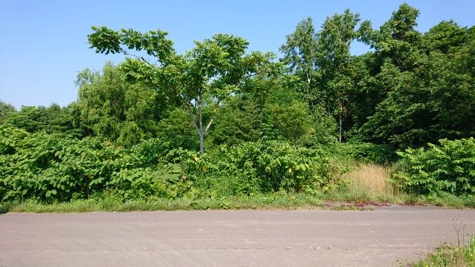 Land for Sale in Rankoshi with Niseko Mountain Views | 1458 sqm - Thumbnail 2