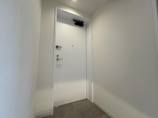 Renovated 3LDK Apartment Near Azamino Station in Yokohama - Thumbnail 3