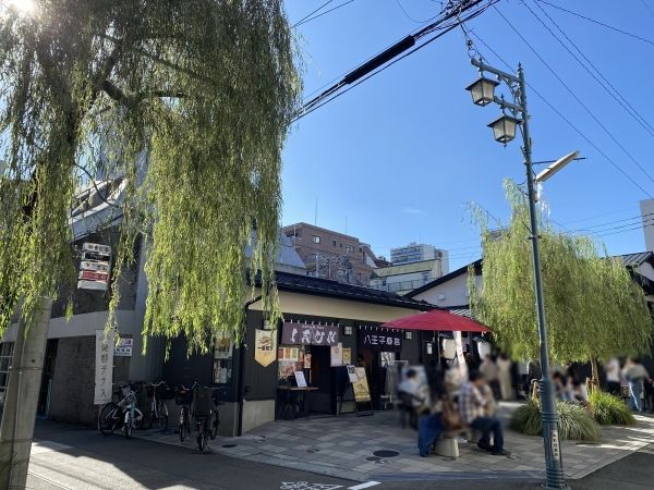 Renovated 3LDK Apartment in Hachioji, Tokyo - 79.11 sqm - Thumbnail 2