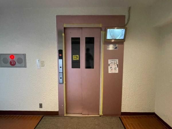 Renovated 3LDK Apartment with Private Garden in Koshigaya - Thumbnail 4