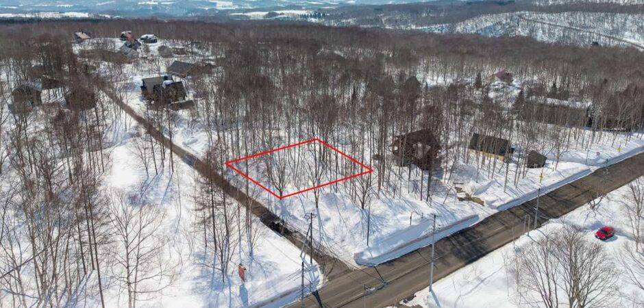 1003sqm Land for Sale in Royal Town, Moiwa, Niseko - Thumbnail 2