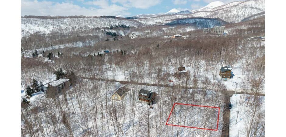 1003sqm Land for Sale in Royal Town, Moiwa, Niseko - Thumbnail 4