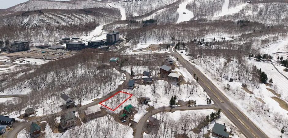 Land for Sale in Hanazono, Niseko - 1,002 sqm - Thumbnail 2