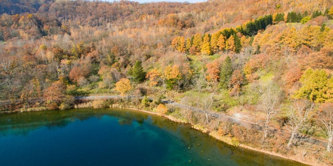 Lake Toya Waterfront Estate - 94 Hectare Land for Sale in Hokkaido - Thumbnail 2