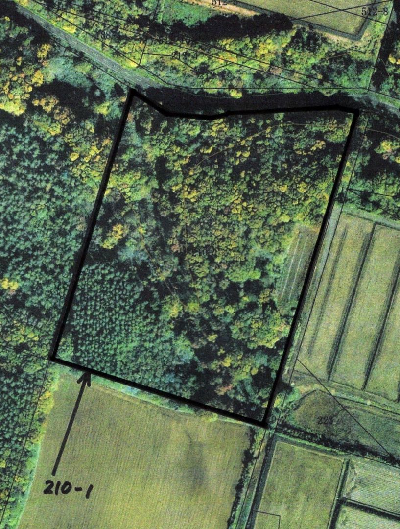 13,151 Tsubo Land for Sale in Ranbetsu Town, Niseko Area - Thumbnail 4