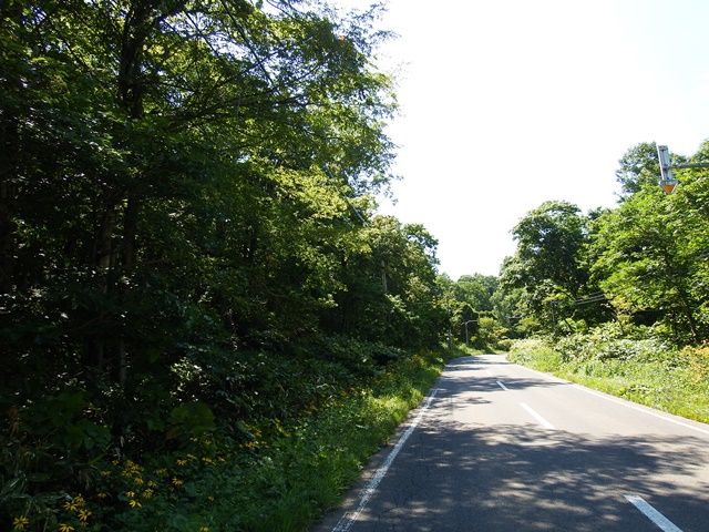 13,151 Tsubo Land for Sale in Ranbetsu Town, Niseko Area - Thumbnail 2
