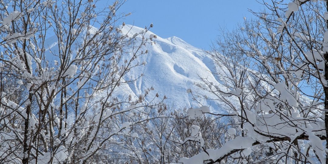 Hirafu Woods Land for Sale in Niseko, Hokkaido - Thumbnail 4
