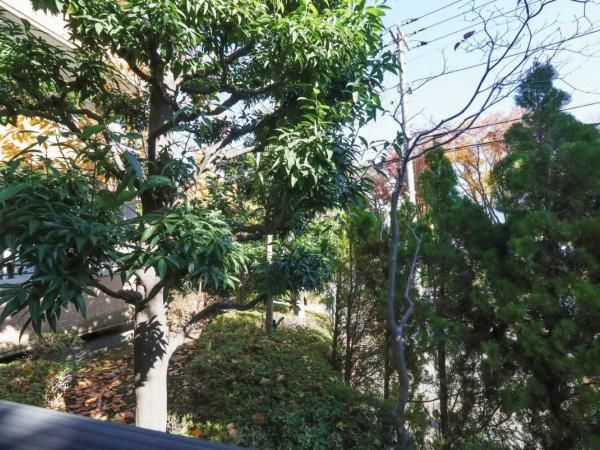 Renovated 2LDK Apartment in Yokohama's Shin-Yamashita Bay City - Thumbnail 4