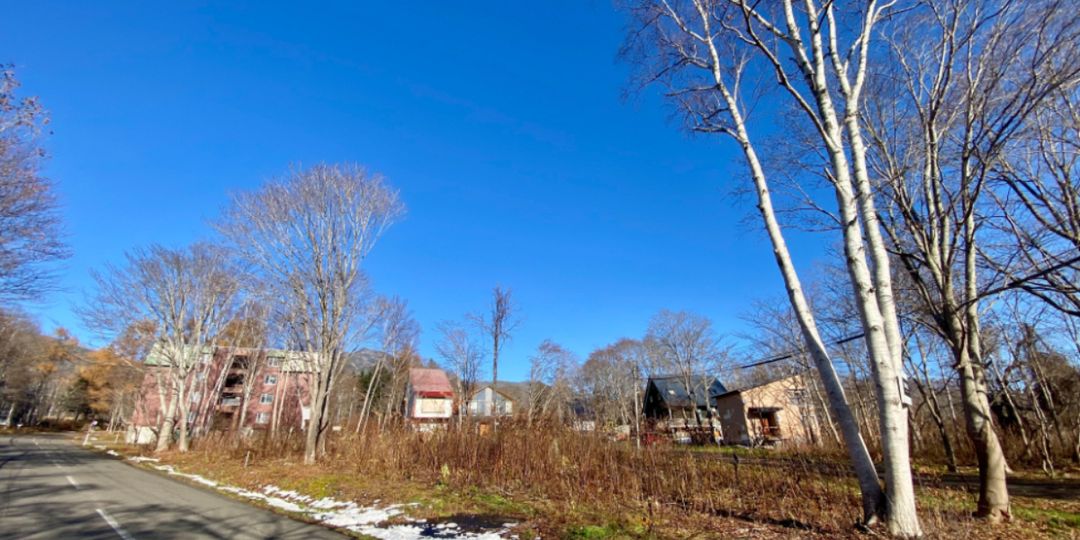 Moiwa 380 Tsubo Onsen Development Land for Sale in Niseko - Thumbnail 2