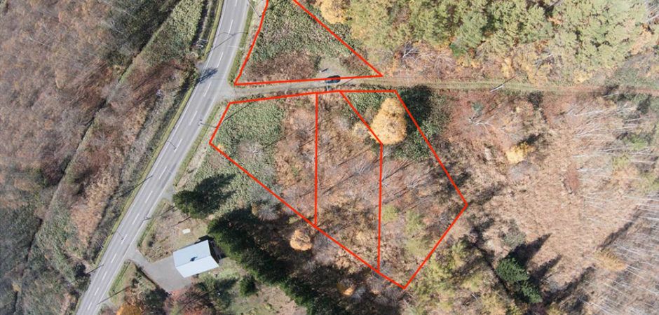 Land for Sale in Annupuri, Niseko, Hokkaido - 3,112 sqm - Thumbnail 4