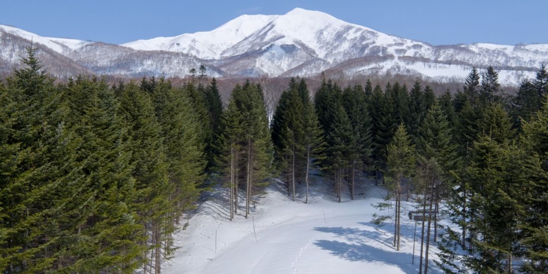 Niseko Annupuri Residences Land for Sale in Hokkaido - Thumbnail 4
