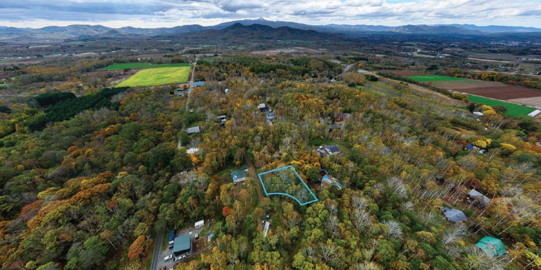 305 Tsubo Forest Land for Sale in Niseko's Serene Kondo Area - Thumbnail 2