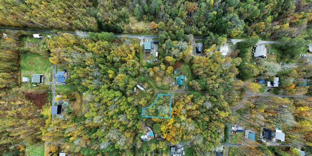 305 Tsubo Forest Land for Sale in Niseko's Serene Kondo Area - Thumbnail 4