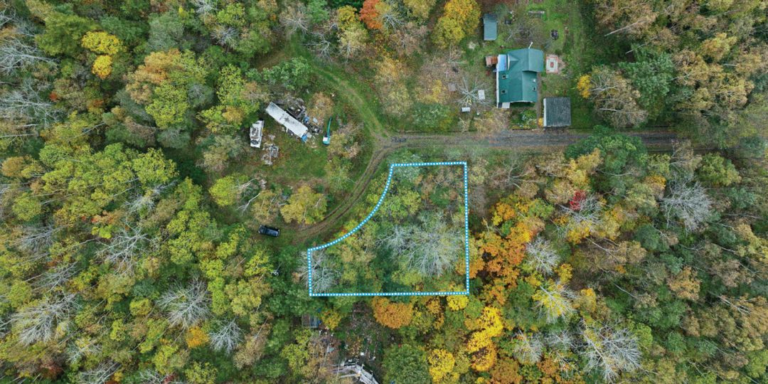 305 Tsubo Forest Land for Sale in Niseko's Serene Kondo Area - Thumbnail 3