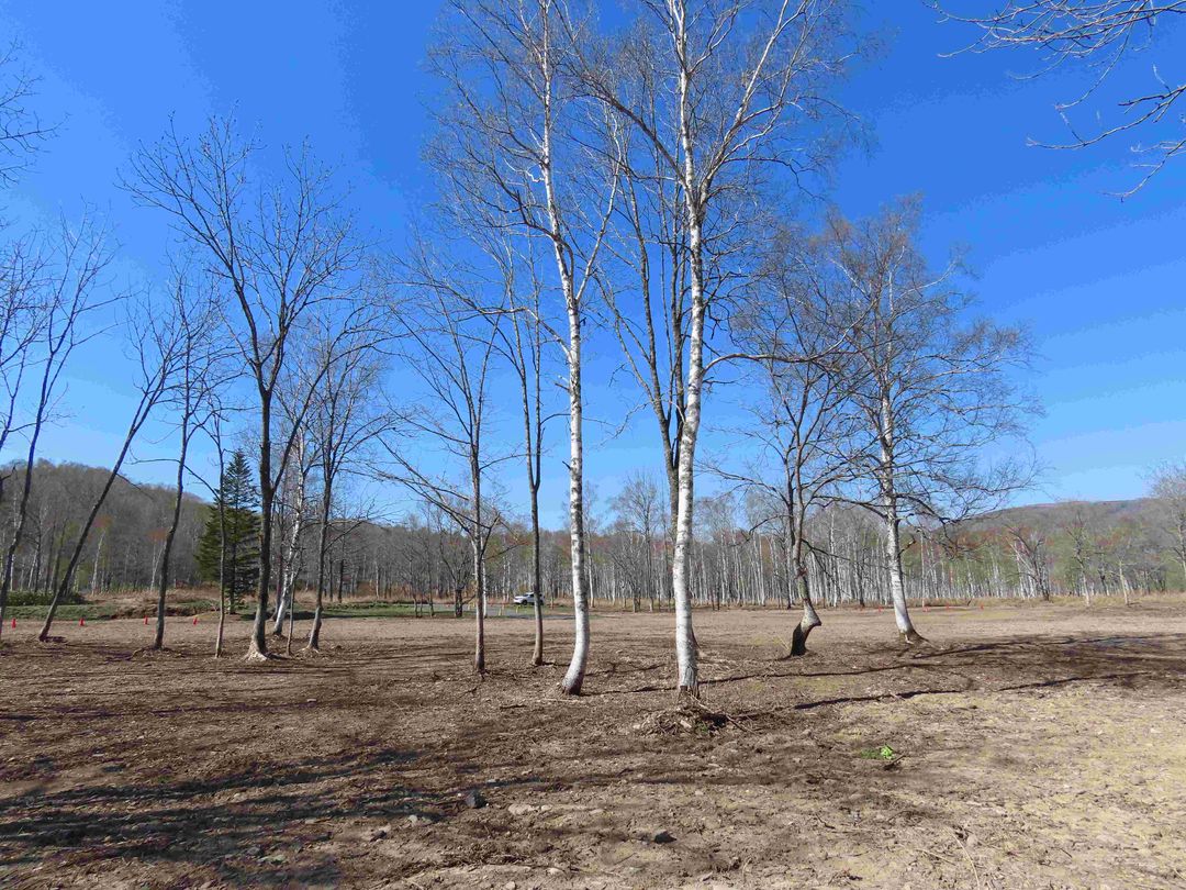 14,621 Tsubo Land for Sale in Rankoshi, Hokkaido - Campground Site - Thumbnail 4